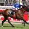 Railway Stakes a wide open betting race