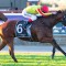 Trainer gives strong push for Railway Stakes horse