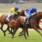 Hanseatic among early Blue Diamond Stakes favourites