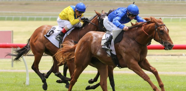 Hanseatic among early Blue Diamond Stakes favourites