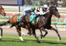 Ballarat Cup favourite scratched from field