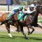 Ballarat Cup favourite scratched from field