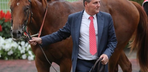 Trainer tells punters to ‘get on’ but horse gets beat