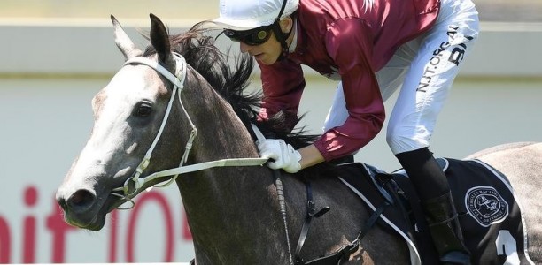 Lady Banff qualifies for Millions Classic