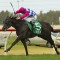 ‘Perfect’ Sneak Preview claims Highway Handicap win