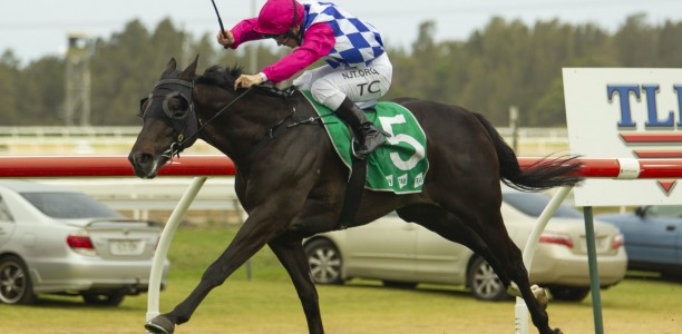 ‘Perfect’ Sneak Preview claims Highway Handicap win