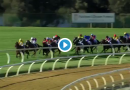 Railway Stakes results and replay – 2019