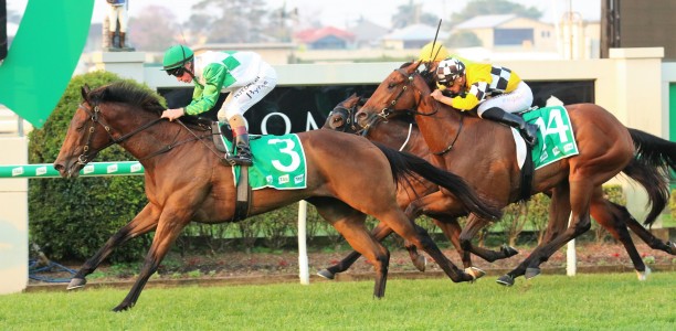 George Moore Stakes nominations – 2019