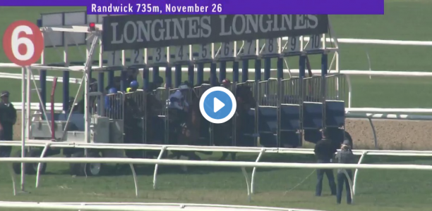 Watch: Magic Millions Classic favourite blitzes rivals in trial