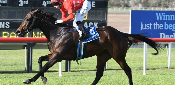 Punters quick to crunch long odds shot in Festival Stakes