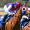 Aussie Nugget earns himself a shot at bigger autumn races