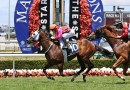 Chapter and Verse out to break drought in George Moore Stakes