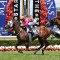 Chapter and Verse out to break drought in George Moore Stakes