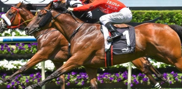 Emperor is ready to reign at Rosehill