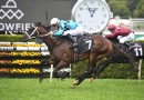 Magic Millions Classic favourite to bypass race