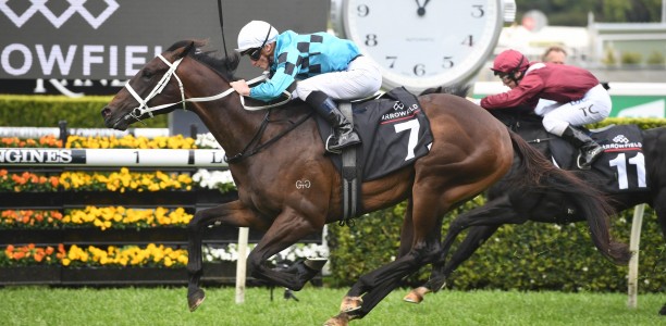 Magic Millions Classic favourite to bypass race