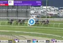 Doomben Plate results and replay – 2019