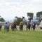 Traralgon Cup Field – 2019