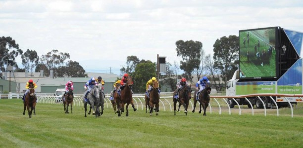 Traralgon Cup Field – 2019