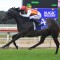 Magic Millions Wyong Stakes