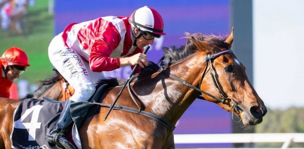Kingston Town Classic Odds Before/After Field & Barriers – 2019