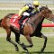 Merited remains unbeaten with an all-the-win at Sandown