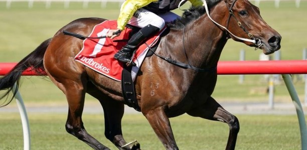 Merited remains unbeaten with an all-the-win at Sandown