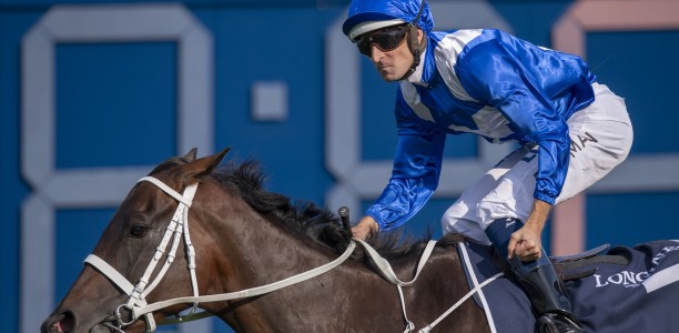 Champion mare Winx to be a mum