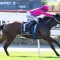 Flirtini short odds favourite in the AJ Scahill Stakes