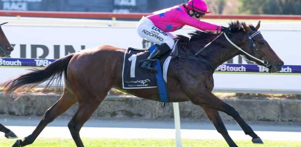 Flirtini short odds favourite in the AJ Scahill Stakes