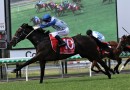 Mewstone Rock to write history in Just Now Quality
