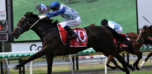 Mewstone Rock to write history in Just Now Quality