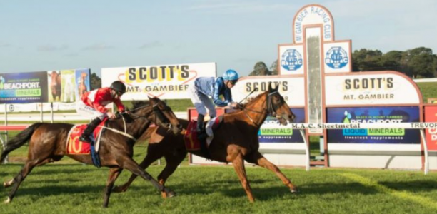 Mount Gambier Cup results – 2019
