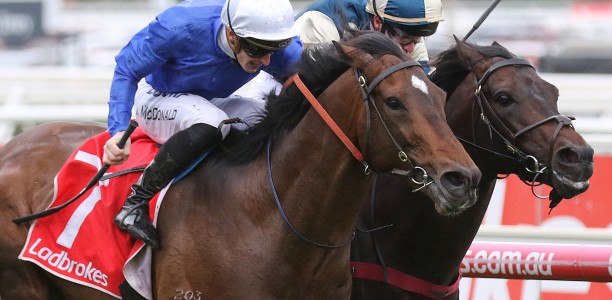 Long odds shots backed to win Kingston Town Classic