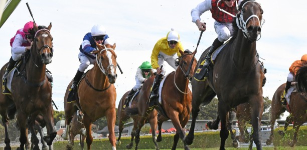 Werribee Cup Field – 2019