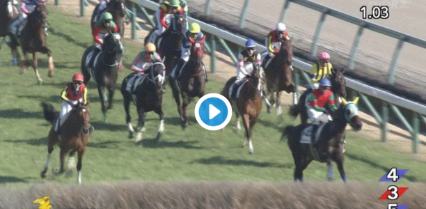 Watch: Jockey, horse uninjured after spectacular fall