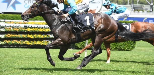 Wyong Magic Millions Stakes results and replay – 2019