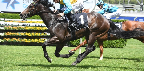 Wyong Magic Millions Stakes results and replay – 2019