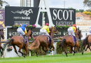 Ascot meeting abandoned due to extreme heat