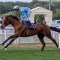 Melbourne Cup runner wins at Newcastle in the UK