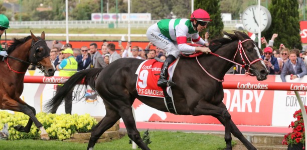 Cox Plate champ Lys Gracieux draws well in Arima Kinen