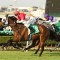 Niccanova ready to roll in Falvelon Quality