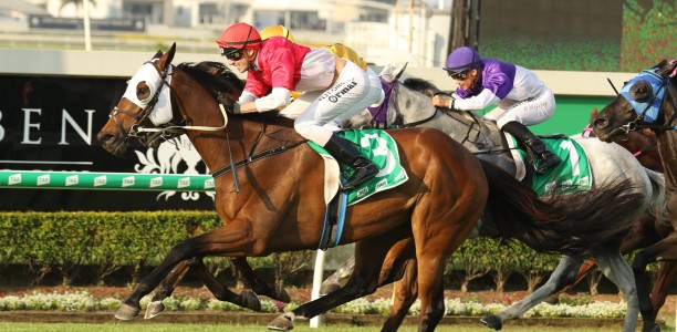 Niccanova ready to roll in Falvelon Quality