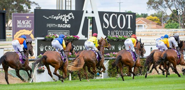 Ted Van Heemst Stakes results 2019