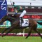 Alligator Blood no certainty for Australian Guineas or All Star Mile