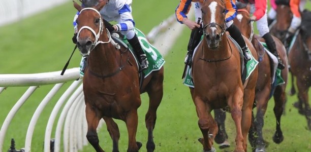 Kolding to trial ahead of autumn return