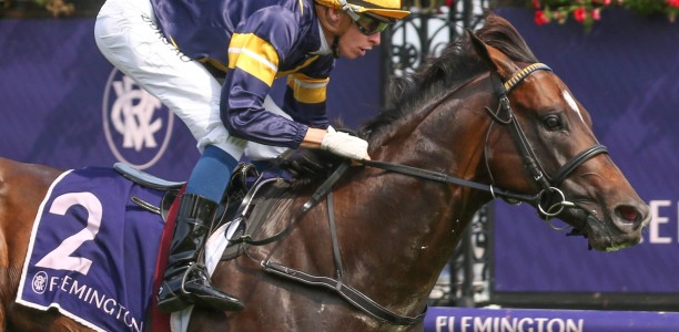 Horse Racing Big Collects, Bets and Moves – 18/1/2020