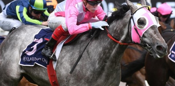 Missile on track for All-Star Mile spot
