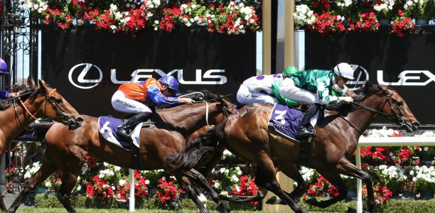 Yulong January short odds to continue winning streak