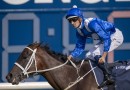 Another sibling of Winx won’t make it to the races